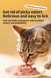 iPawsmile Premium Cat Wet Food Pouch – High Meat, Easy Digest, Taurine & Vitamin Enriched (60g)